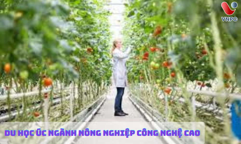 Nhu cầu ổn định trong hệ thống an sinh
